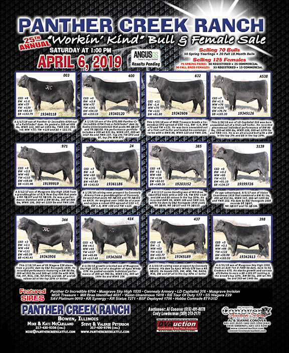 Workin Kind Bull and Female Sale